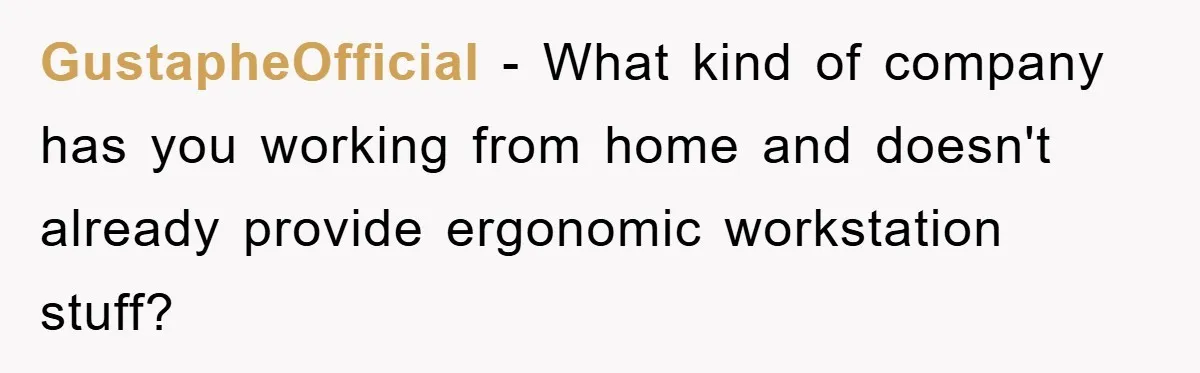 Supervisor Doesn’t Believe His Back Injury? He Sends Proof That Costs Her Her Job GustapheOfficial − What kind of company has you working from home and doesn't already provide ergonomic workstation stuff?