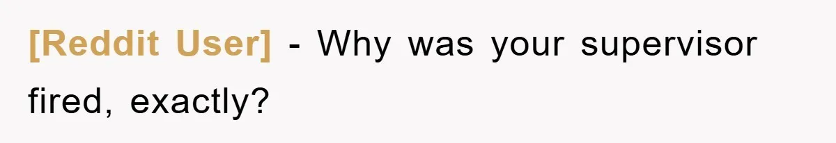 [Reddit User] − Why was your supervisor fired, exactly?