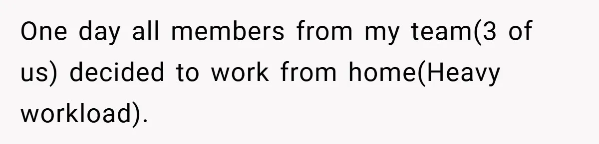 One day all members from my team(3 of us) decided to work from home(Heavy workload).
