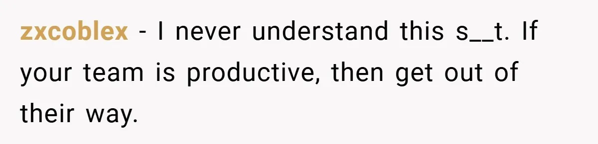 zxcoblex − I never understand this s__t. If your team is productive, then get out of their way.