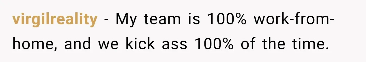 virgilreality − My team is 100% work-from-home, and we kick ass 100% of the time.