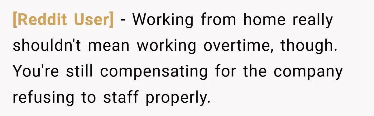 [Reddit User] − Working from home really shouldn't mean working overtime, though. You're still compensating for the company refusing to staff properly.