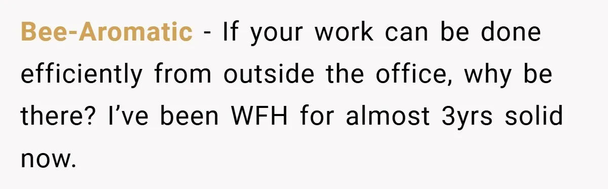 Bee-Aromatic − If your work can be done efficiently from outside the office, why be there? I’ve been WFH for almost 3yrs solid now.