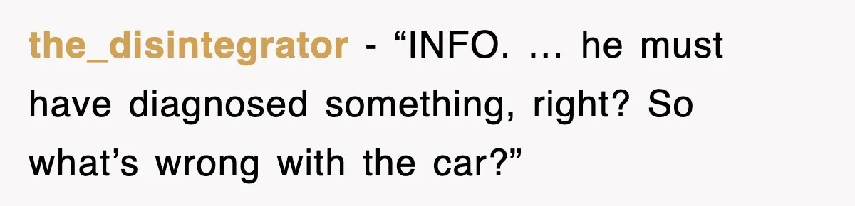 the_disintegrator - “INFO. … he must have diagnosed something, right? So what’s wrong with the car?”