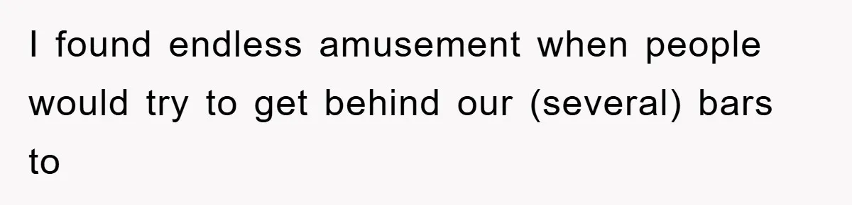 I found endless amusement when people would try to get behind our (several) bars to