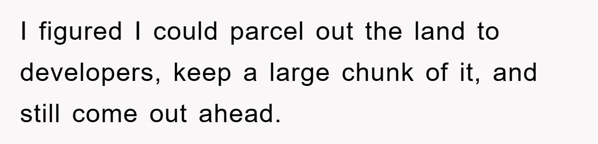 I figured I could parcel out the land to developers, keep a large chunk of it, and still come out ahead.
