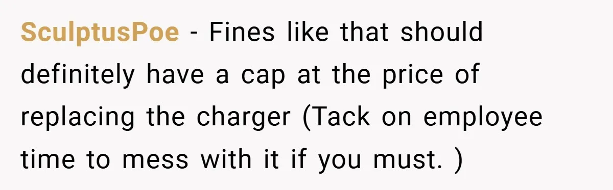 SculptusPoe − Fines like that should definitely have a cap at the price of replacing the charger (Tack on employee time to mess with it if you must. )