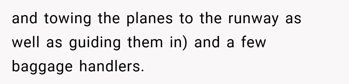 and towing the planes to the runway as well as guiding them in) and a few baggage handlers.