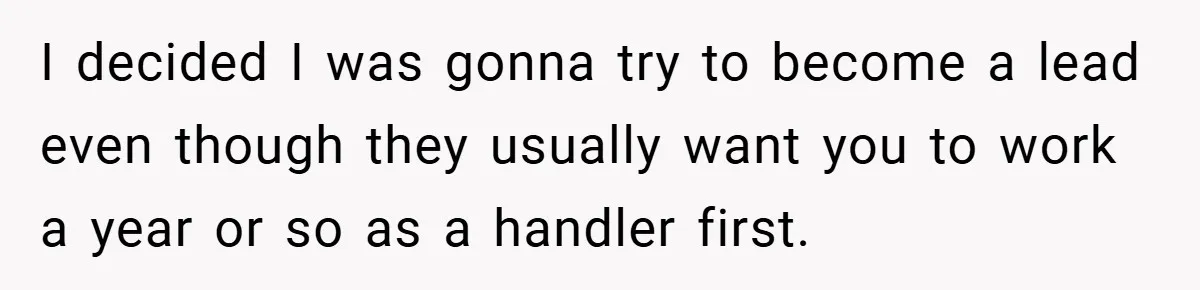 I decided I was gonna try to become a lead even though they usually want you to work a year or so as a handler first.