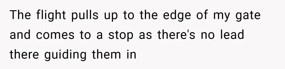 The flight pulls up to the edge of my gate and comes to a stop as there's no lead there guiding them in