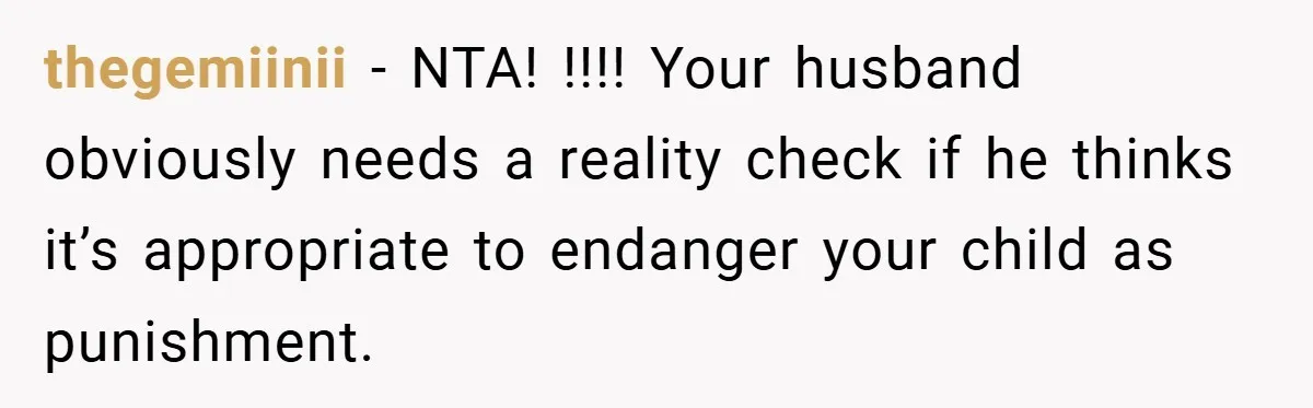 thegemiinii − NTA! !!!! Your husband obviously needs a reality check if he thinks it’s appropriate to endanger your child as punishment.
