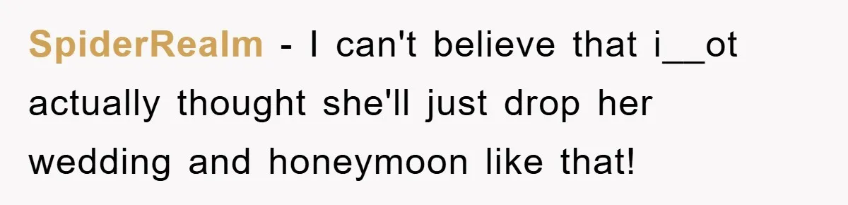 SpiderRealm − I can't believe that i__ot actually thought she'll just drop her wedding and honeymoon like that!