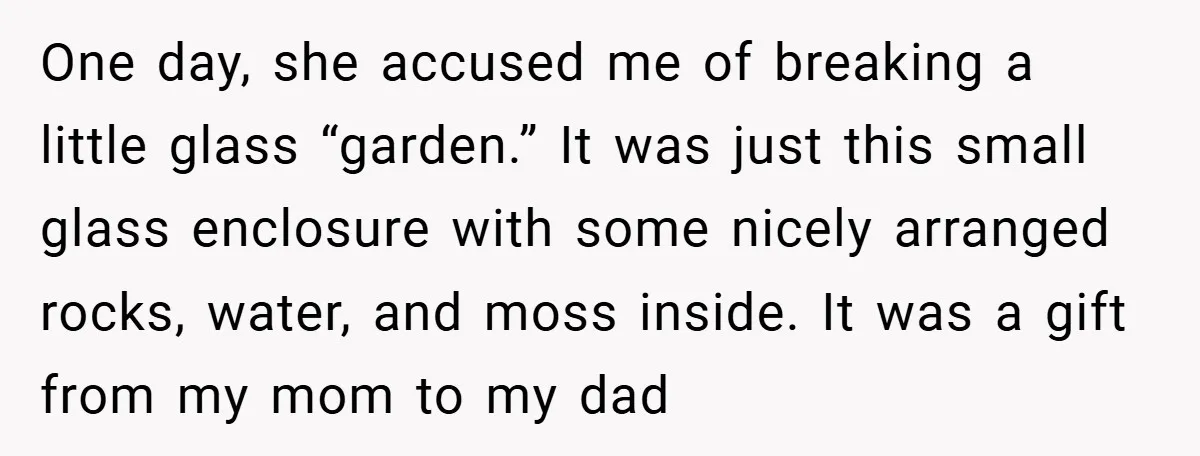 One day, she accused me of breaking a little glass “garden.” It was just this small glass enclosure with some nicely arranged rocks, water, and moss inside. It was a...