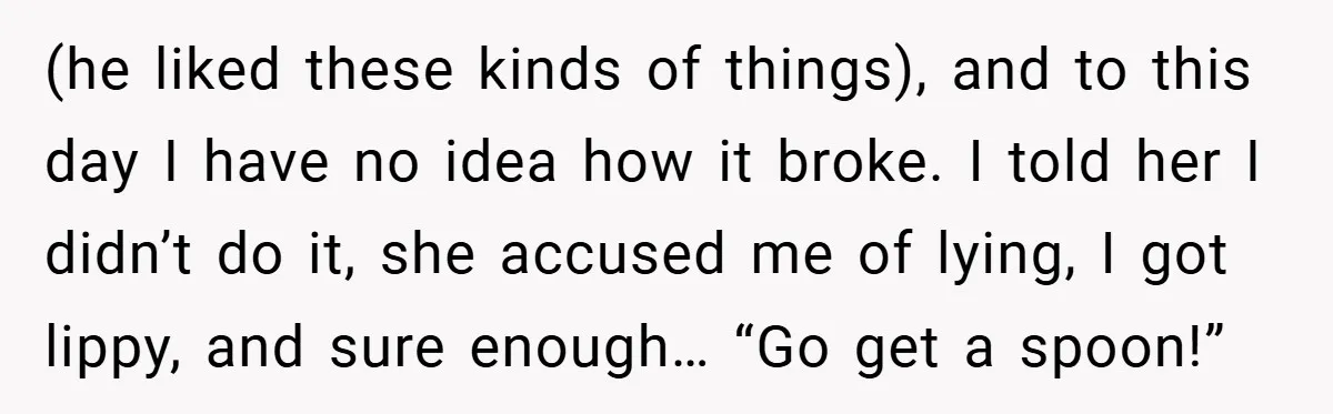 (he liked these kinds of things), and to this day I have no idea how it broke. I told her I didn’t do it, she accused me of lying, I...