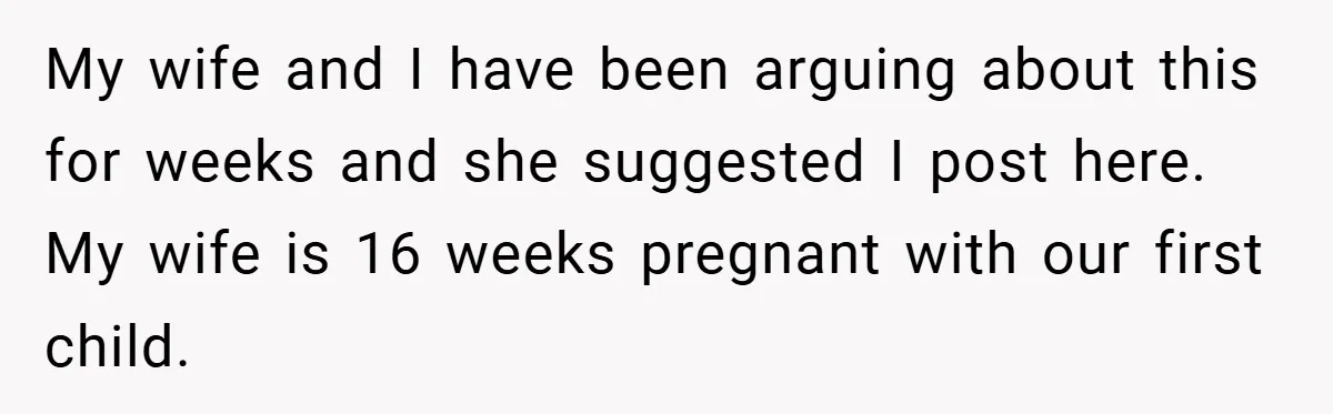 A Man Tried to Use His Paternity Leave for a Vacation Instead of Staying With His Newborn My wife and I have been arguing about this for weeks and she suggested I post here. My wife is 16 weeks pregnant with our first child.