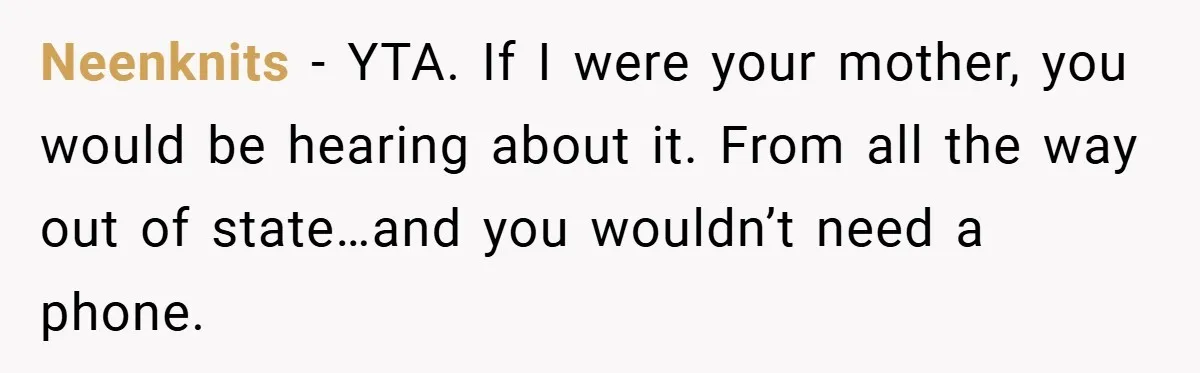 A Man Tried to Use His Paternity Leave for a Vacation Instead of Staying With His Newborn Neenknits − YTA. If I were your mother, you would be hearing about it. From all the way out of state…and you wouldn’t need a phone.