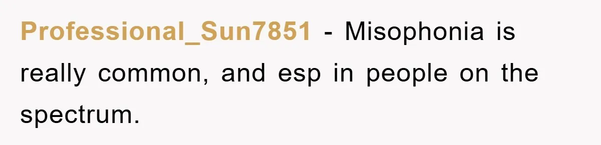 Daughter’s Misophonia Has Kept Mom Silent For Years, Now She Wants Her Voice Back, And It’s Causing A Rift Professional_Sun7851 − Misophonia is really common, and esp in people on the spectrum.