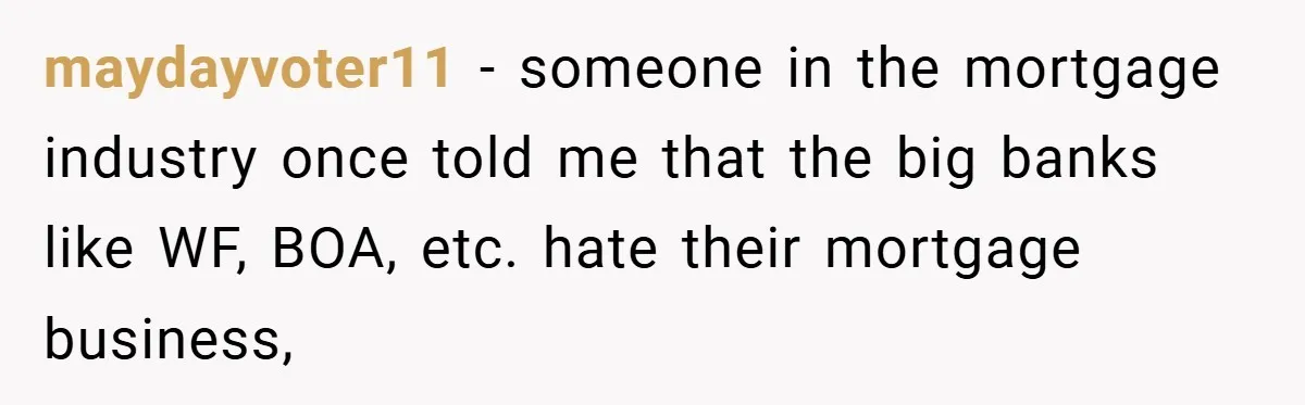 maydayvoter11 − someone in the mortgage industry once told me that the big banks like WF, BOA, etc. hate their mortgage business,