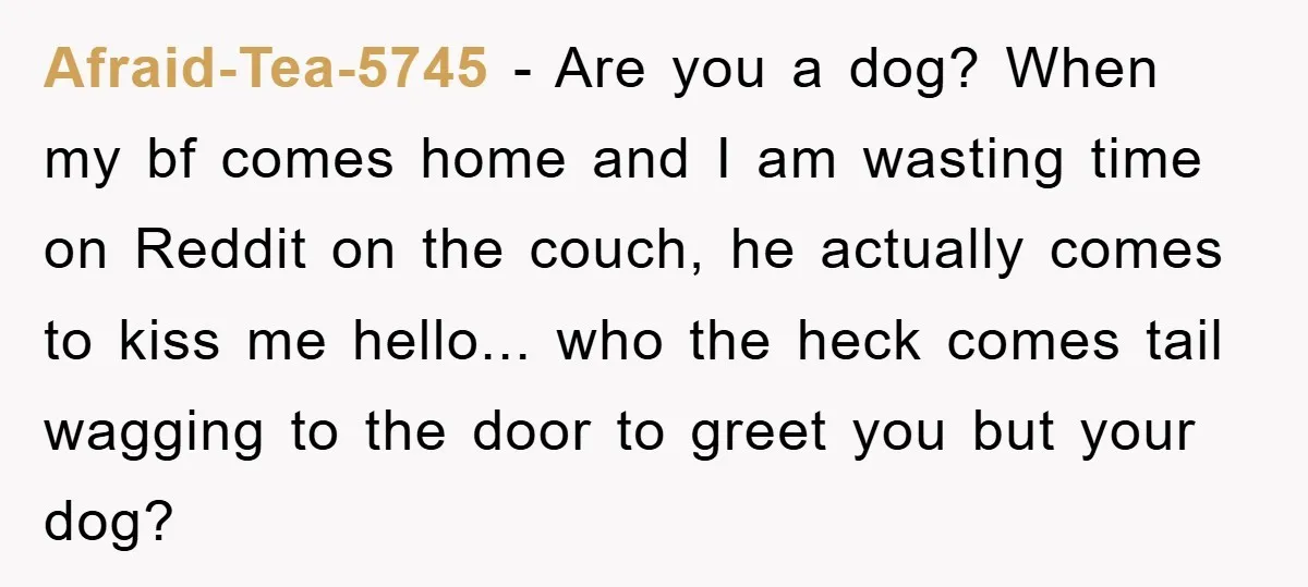 Afraid-Tea-5745 - Are you a dog? When my bf comes home and I am wasting time on Reddit on the couch, he actually comes to kiss me hello... who the...