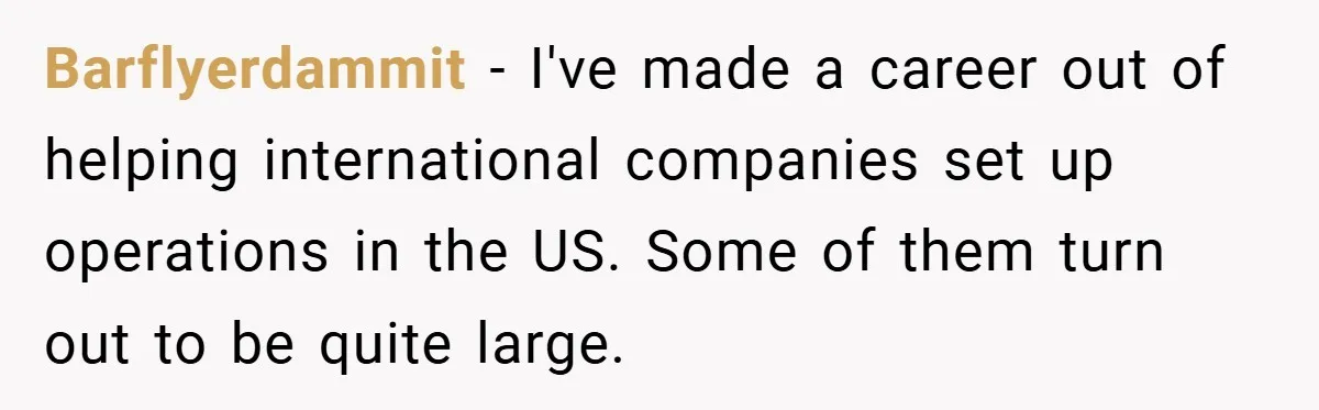 Barflyerdammit − I've made a career out of helping international companies set up operations in the US. Some of them turn out to be quite large.