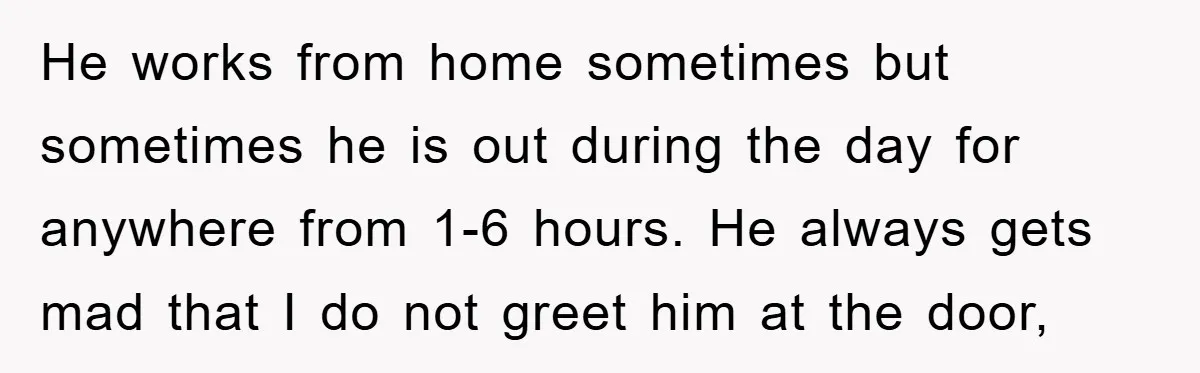 He works from home sometimes but sometimes he is out during the day for anywhere from 1-6 hours. He always gets mad that I do not greet him at the...