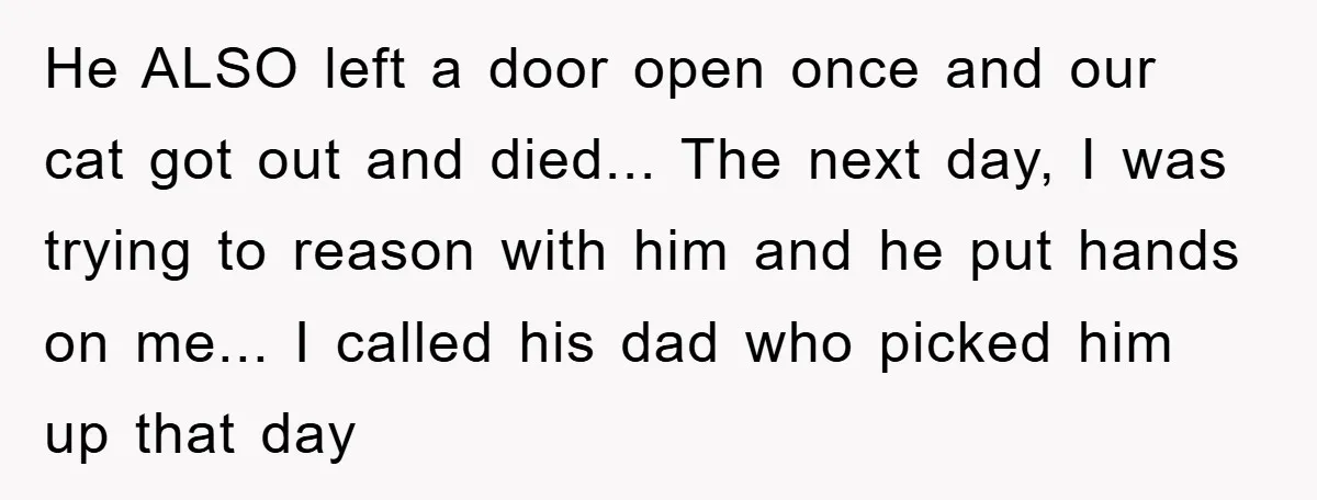 He ALSO left a door open once and our cat got out and died... The next day, I was trying to reason with him and he put hands on me......