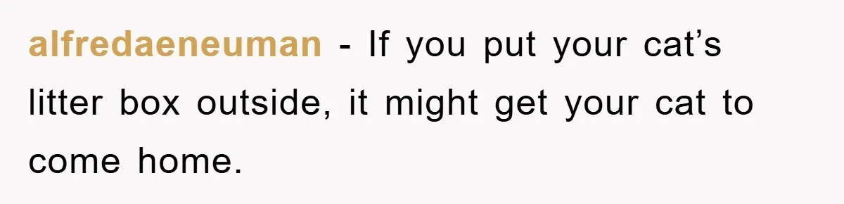 alfredaeneuman - If you put your cat’s litter box outside, it might get your cat to come home.