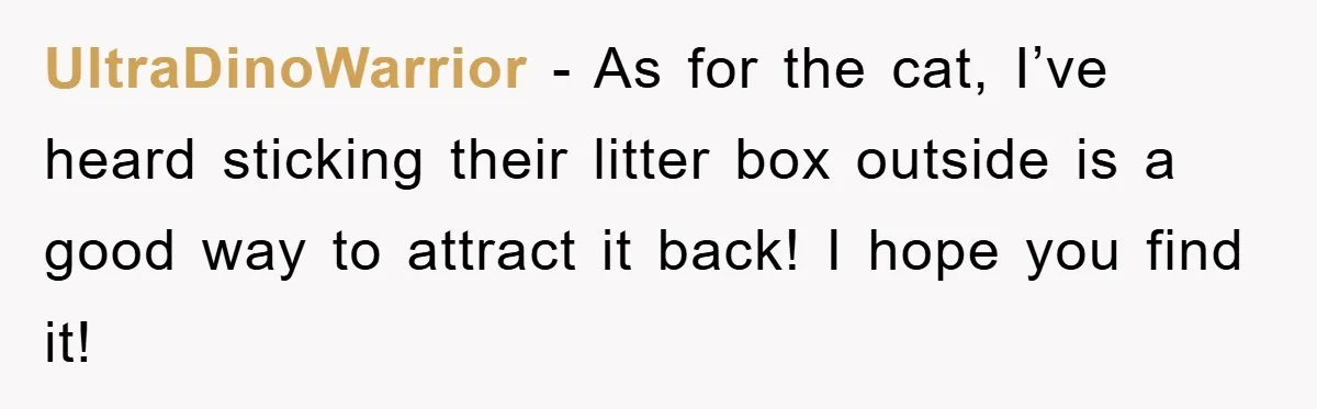 UltraDinoWarrior - As for the cat, I’ve heard sticking their litter box outside is a good way to attract it back! I hope you find it!