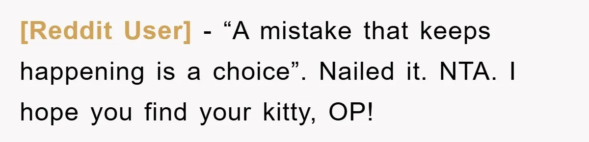 [Reddit User] - “A mistake that keeps happening is a choice”. Nailed it. NTA. I hope you find your kitty, OP!