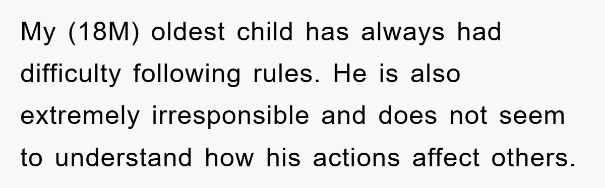 My (18M) oldest child has always had difficulty following rules. He is also extremely irresponsible and does not seem to understand how his actions affect others.