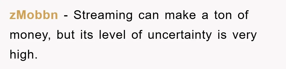zMobbn − Streaming can make a ton of money, but its level of uncertainty is very high.