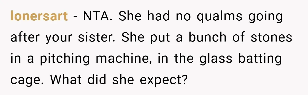lonersart − NTA. She had no qualms going after your sister. She put a bunch of stones in a pitching machine, in the glass batting cage. What did she expect?