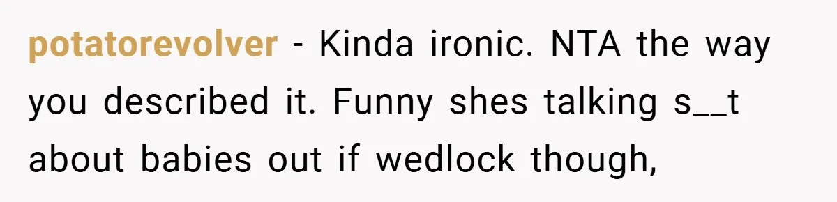 potatorevolver − Kinda ironic. NTA the way you described it. Funny shes talking s__t about babies out if wedlock though,