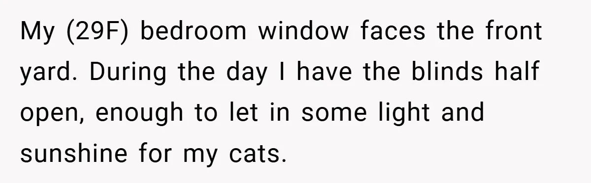 My (29F) bedroom window faces the front yard. During the day I have the blinds half open, enough to let in some light and sunshine for my cats.