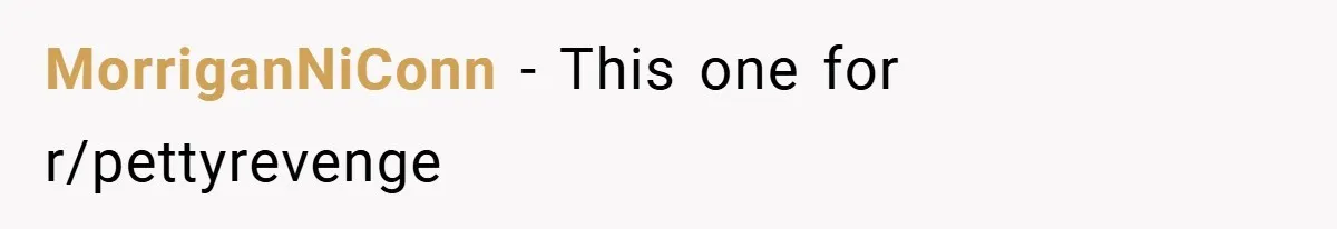 MorriganNiConn − This one for r/pettyrevenge