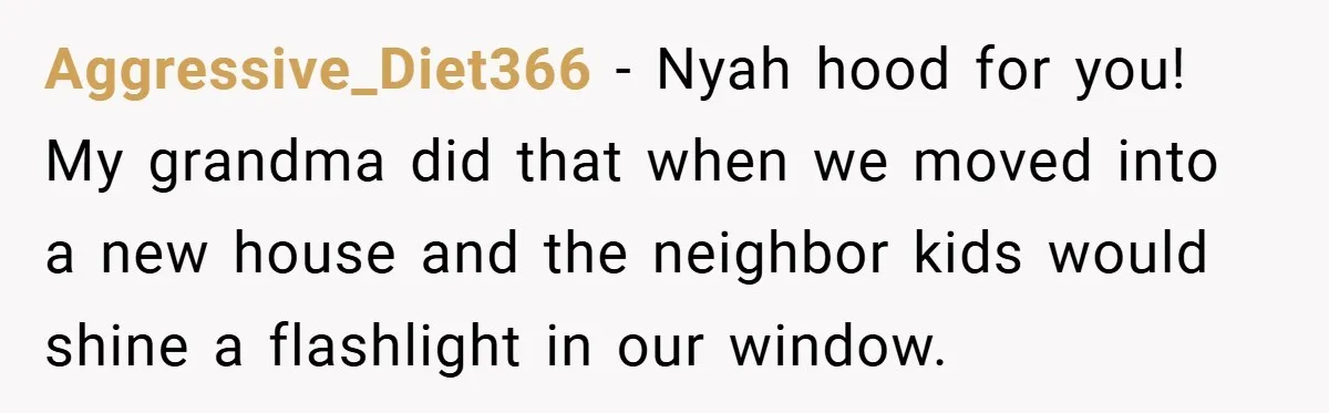 Aggressive_Diet366 − Nyah hood for you! My grandma did that when we moved into a new house and the neighbor kids would shine a flashlight in our window.