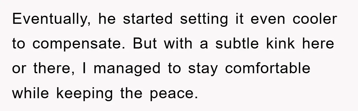 Eventually, he started setting it even cooler to compensate. But with a subtle kink here or there, I managed to stay comfortable while keeping the peace.