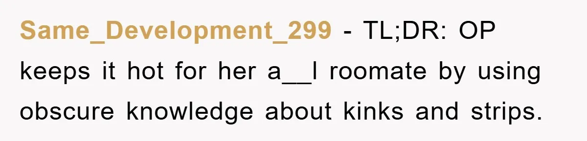 Same_Development_299 − TL;DR: OP keeps it hot for her a__l roomate by using obscure knowledge about kinks and strips.
