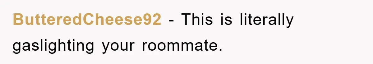 ButteredCheese92 − This is literally gaslighting your roommate.