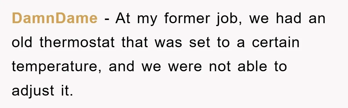 DamnDame − At my former job, we had an old thermostat that was set to a certain temperature, and we were not able to adjust it.