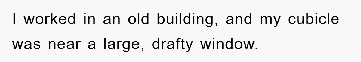 I worked in an old building, and my cubicle was near a large, drafty window.