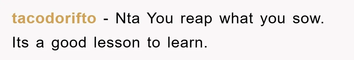 tacodorifto - Nta You reap what you sow. Its a good lesson to learn.