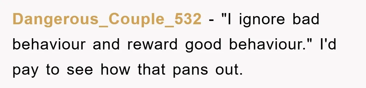 Dangerous_Couple_532 − "I ignore bad behaviour and reward good behaviour." I'd pay to see how that pans out.