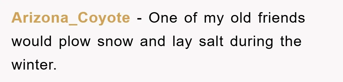 Trophy-Wife Client Refused To Pay For A Finished Website, So The Developer Delivered Exactly 33% And Left Her Business Frozen In Place Arizona_Coyote − One of my old friends would plow snow and lay salt during the winter.