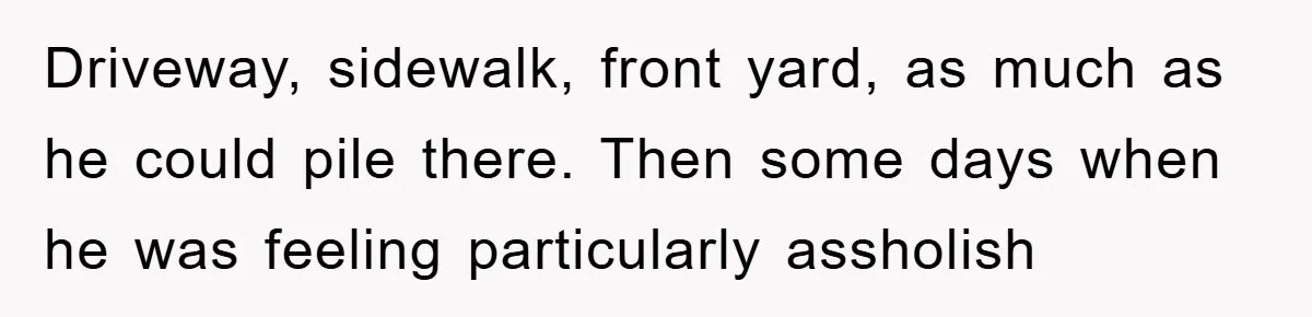 Trophy-Wife Client Refused To Pay For A Finished Website, So The Developer Delivered Exactly 33% And Left Her Business Frozen In Place Driveway, sidewalk, front yard, as much as he could pile there. Then some days when he was feeling particularly assholish