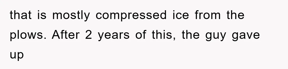 Trophy-Wife Client Refused To Pay For A Finished Website, So The Developer Delivered Exactly 33% And Left Her Business Frozen In Place that is mostly compressed ice from the plows. After 2 years of this, the guy gave up