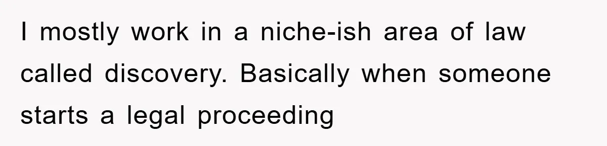 I mostly work in a niche-ish area of law called discovery. Basically when someone starts a legal proceeding