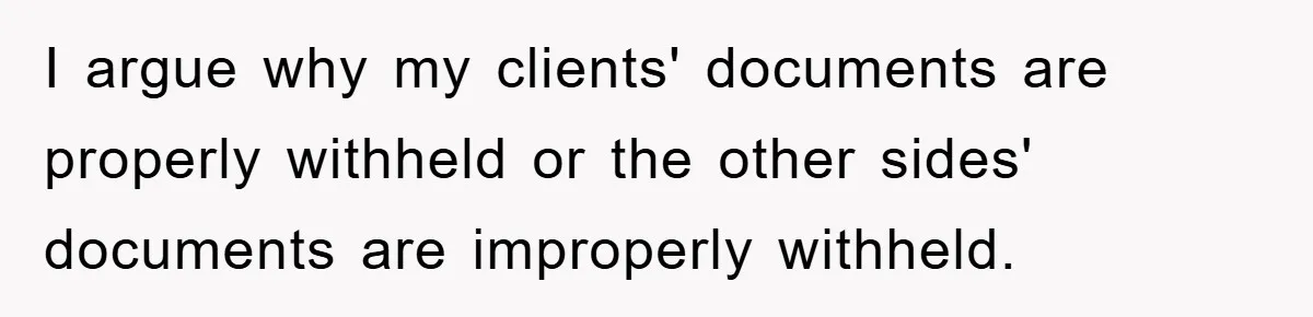 I argue why my clients' documents are properly withheld or the other sides' documents are improperly withheld.