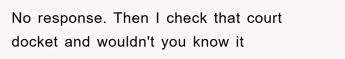 No response. Then I check that court docket and wouldn't you know it