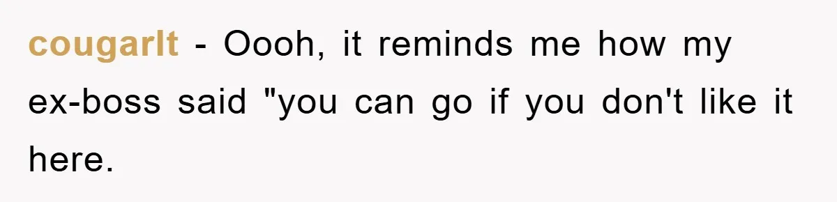cougarlt − Oooh, it reminds me how my ex-boss said "you can go if you don't like it here.